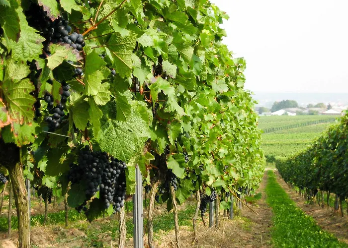 City-dachapartment Apartamento *